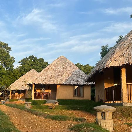 Saffron Lake Yala Tissamaharama Exterior photo